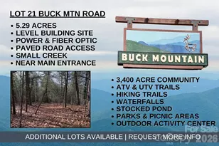 Tbd Buck Mountain Rd, Purlear, NC 28665 - Photo 1