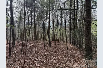 Tbd Buck Mountain Road #21, Purlear, NC 28665 - Photo 15