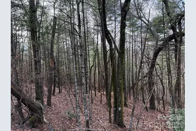 Tbd Buck Mountain Road #21, Purlear, NC 28665 - Photo 17