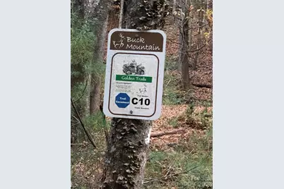 Tbd Bobcat Mountain Road #36, Purlear, NC 28665 - Photo 35