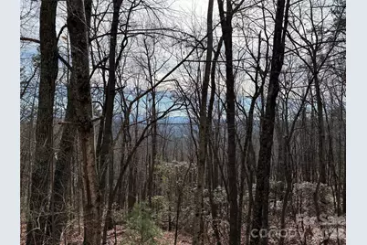 Tbd Bobcat Mountain Road #36, Purlear, NC 28665 - Photo 7