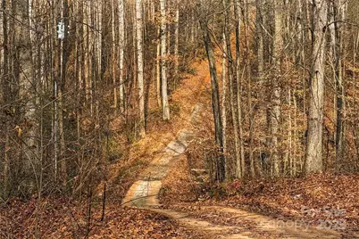 338 Piney Grove Road, Harmony, NC 28634 - Photo 43