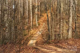 338 Piney Grove Rd, Harmony, NC 28634 - Photo 43