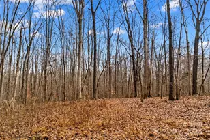 338 Piney Grove Rd, Harmony, NC 28634 - Photo 11