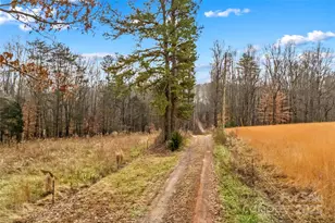 338 Piney Grove Rd, Harmony, NC 28634 - Photo 41