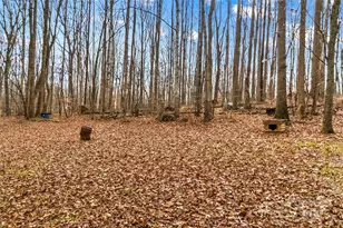 338 Piney Grove Rd, Harmony, NC 28634 - Photo 7