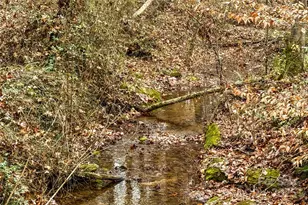 338 Piney Grove Rd, Harmony, NC 28634 - Photo 3