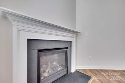 587 King Clover Lane, Clover, SC 29710 - Photo 9