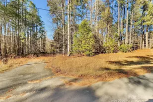 3215 Shadybark Trail, Catawba, SC 29704 - Photo 35