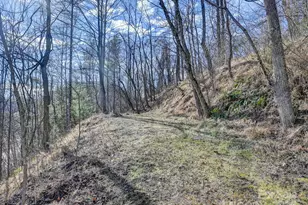 8033 US 25-70 Hwy, Marshall, NC 28753 - Photo 33