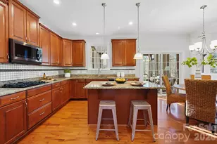 10914 Stone Bunker Dr, Mint Hill, NC 28227 - Photo 9