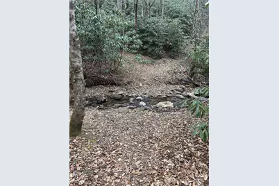 000 Lytle Cove Road, Swannanoa, NC 28778 - Photo 33