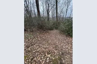 000 Lytle Cove Road, Swannanoa, NC 28778 - Photo 7