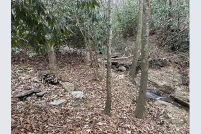 000 Lytle Cove Road, Swannanoa, NC 28778 - Photo 9