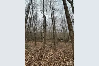 000 Lytle Cove Road, Swannanoa, NC 28778 - Photo 21