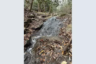 000 Lytle Cove Road, Swannanoa, NC 28778 - Photo 11