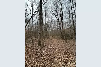 000 Lytle Cove Road, Swannanoa, NC 28778 - Photo 17