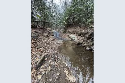 000 Lytle Cove Road, Swannanoa, NC 28778 - Photo 31