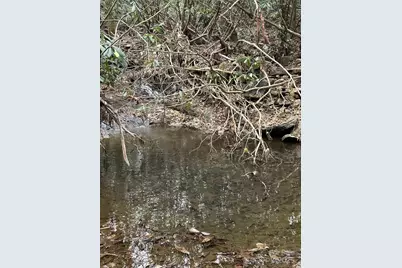 000 Lytle Cove Road, Swannanoa, NC 28778 - Photo 29