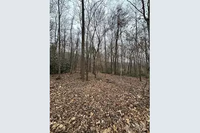 000 Lytle Cove Road, Swannanoa, NC 28778 - Photo 25