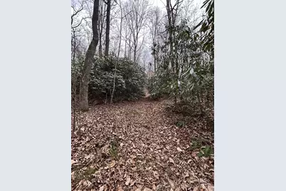 000 Lytle Cove Road, Swannanoa, NC 28778 - Photo 13