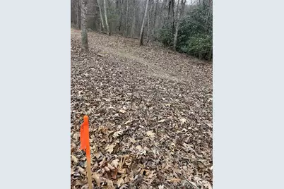 000 Lytle Cove Road, Swannanoa, NC 28778 - Photo 27