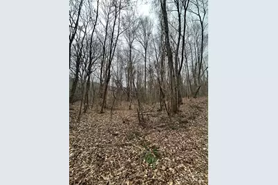 000 Lytle Cove Road, Swannanoa, NC 28778 - Photo 19