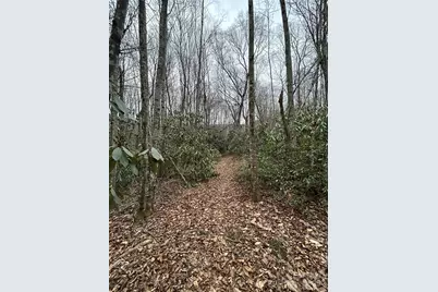 000 Lytle Cove Road, Swannanoa, NC 28778 - Photo 23