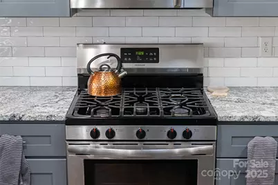 307 Kristy Cabe Drive, Fletcher, NC 28732 - Photo 19