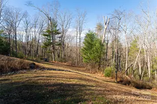 307 Kristy Cabe Dr, Fletcher, NC 28732 - Photo 35