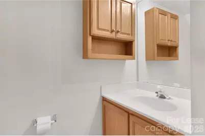 12311 Bluestem Lane, Charlotte, NC 28277 - Photo 13