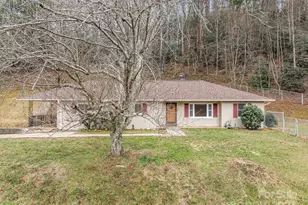 82 Greasy Cove Rd, Leicester, NC 28748 - Photo 3