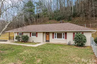 82 Greasy Cove Rd, Leicester, NC 28748 - Photo 3