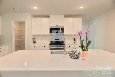 2154 Trollinger Drive, Catawba, NC 28609 - Photo 13