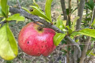 4565 Rob Neal Rd, Heath Springs, SC 29058 - Photo 25