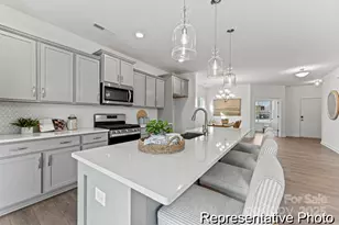 111 W Rice Planters Wy, Statesville, NC 28625 - Photo 3