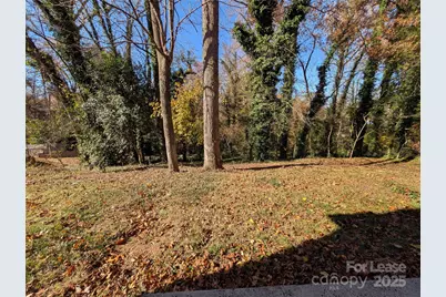 3331 Donovan Place, Charlotte, NC 28215 - Photo 31