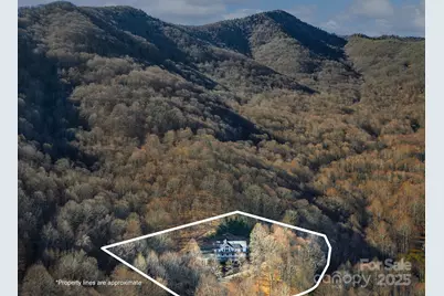 1591 Chestnut Flats Lane, Waynesville, NC 28786 - Photo 39