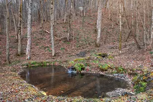 1591 Chestnut Flats Ln, Waynesville, NC 28786 - Photo 3