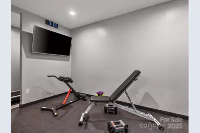 1591 Chestnut Flats Lane, Waynesville, NC 28786 - Photo 29