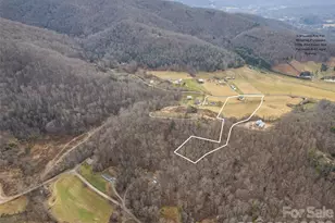 343 Rocky Lane Rd, Clyde, NC 28721 - Photo 5