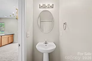 3201 Blythe Ridge Ct, Charlotte, NC 28213 - Photo 23