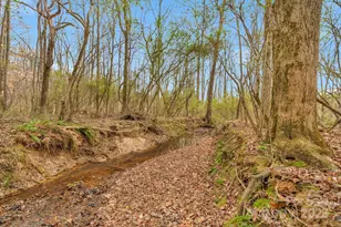 5002 Parkwood School Rd, Waxhaw, NC 28173 - Photo 35