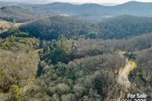 80 Buckhead Trail, Mills River, NC 28742 - Photo 23