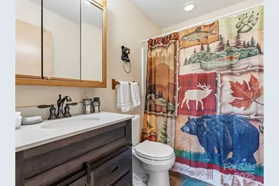 101 Ruffed Grouse Road, Brevard, NC 28712 - Photo 25