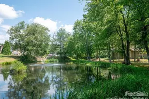 1505 Deermouse Way, Hendersonville, NC 28792 - Photo 41