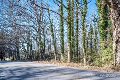 433 Osborne Road, Brevard, NC 28712 - Photo 29