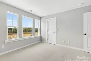 254 Alluvium Ln, Waxhaw, NC 28173 - Photo 25