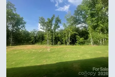 254 Alluvium Lane, Waxhaw, NC 28173 - Photo 29