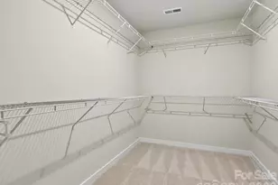 254 Alluvium Ln, Waxhaw, NC 28173 - Photo 13